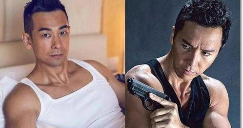 甄子丹采访中的爆料视频,幕后故事与人生感悟